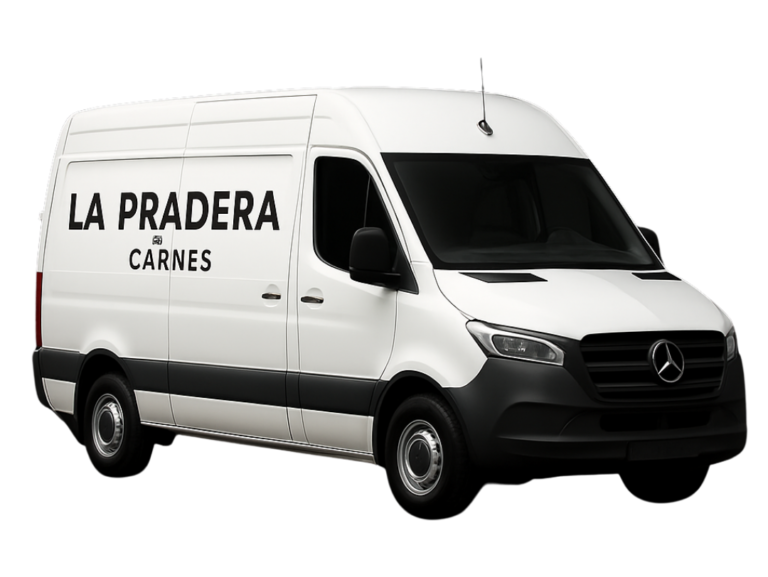 traffic o sprinter para delivery. envios de carne en mendoza