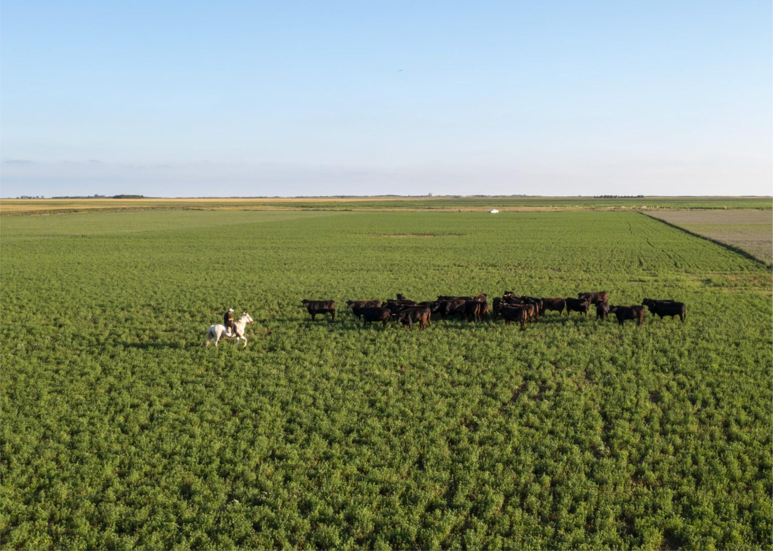 estancia-indio-manso-cordoba